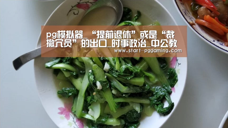 pg电子官网