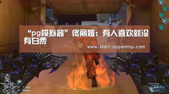 “pg模拟器”佟丽娅:有人喜欢就没有白费(图3) pg模拟器