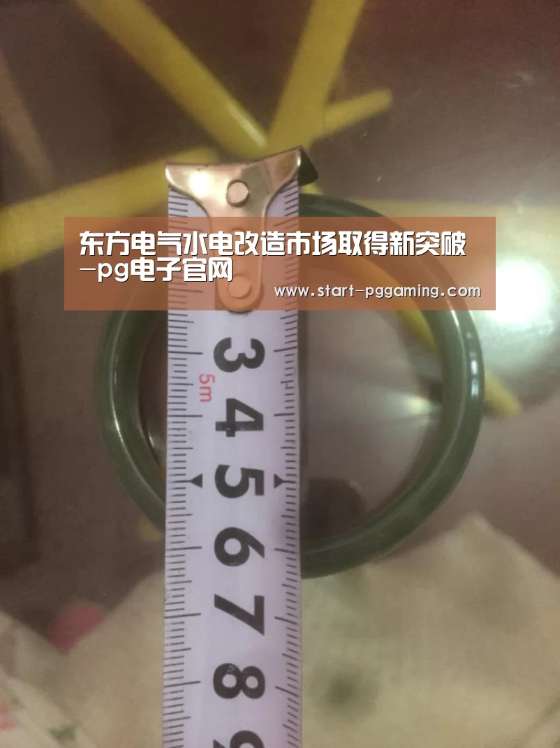 东方电气水电改造市场取得新突破-pg电子官网(图2) pg模拟器