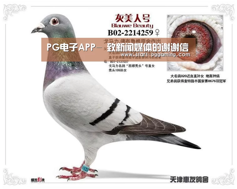 pg模拟器