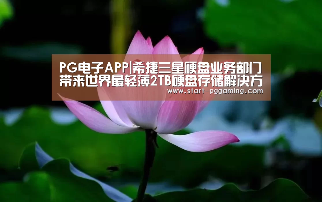 PG电子APP|希捷三星硬盘业务部门带来世界最轻薄2TB硬盘存储解决方案(图2) pg模拟器