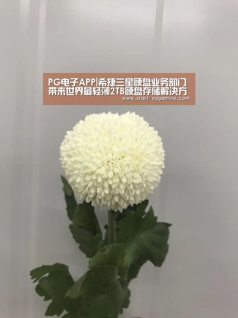 PG电子APP|希捷三星硬盘业务部门带来世界最轻薄2TB硬盘存储解决方案(图1) pg模拟器