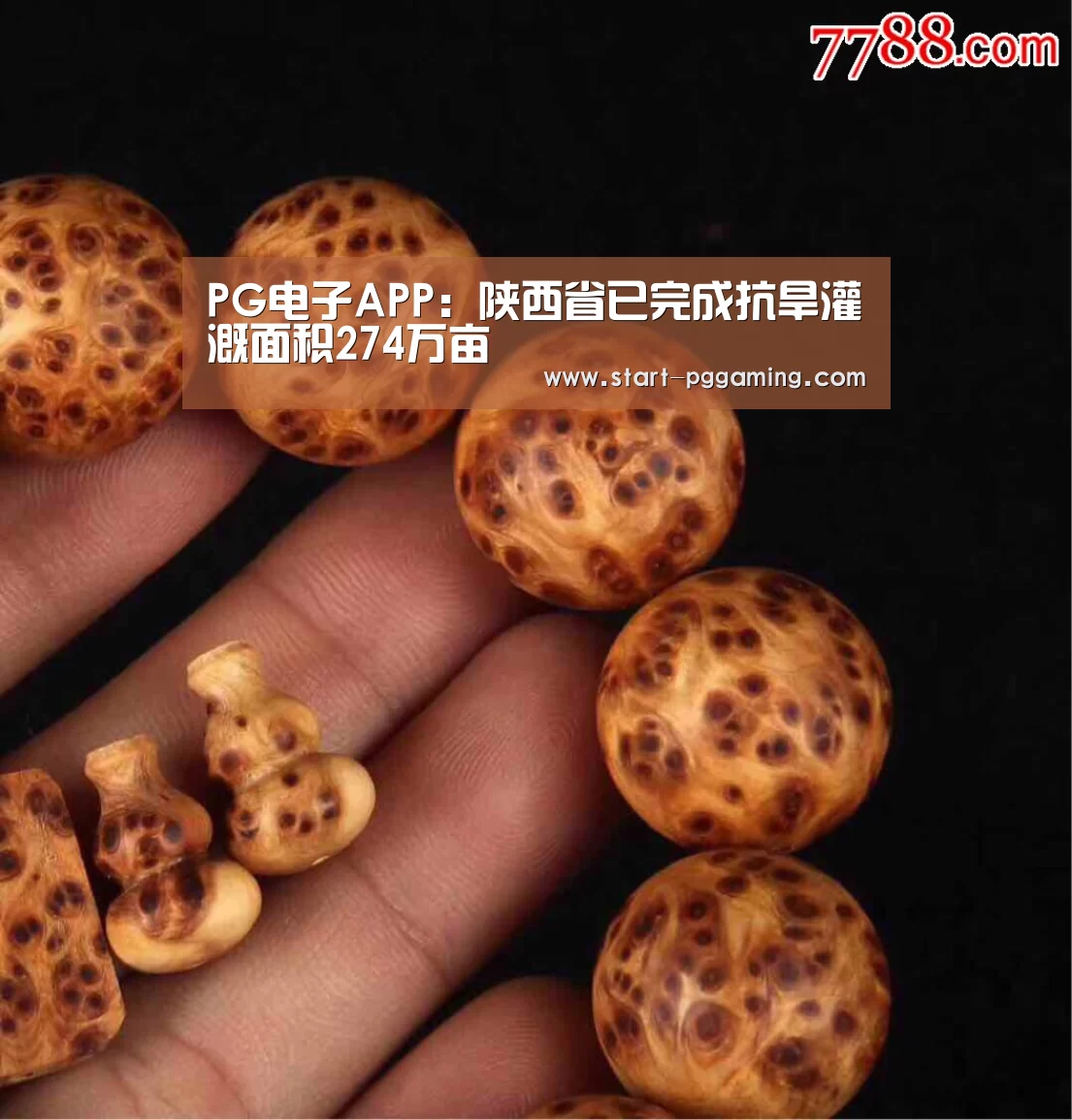PG电子APP:陕西省已完成抗旱灌溉面积274万亩(图2) pg模拟器