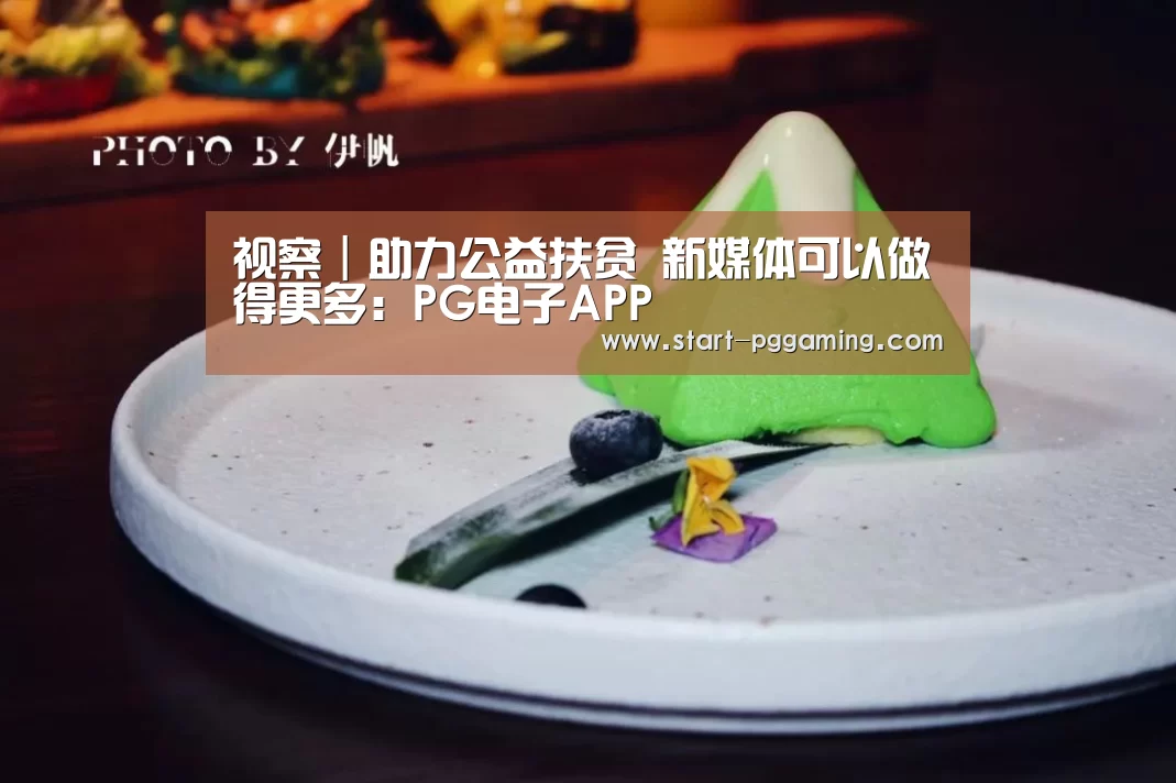 视察|助力公益扶贫 新媒体可以做得更多:PG电子APP(图3) pg模拟器