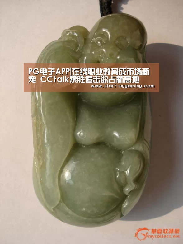 PG电子APP|在线职业教育成市场新宠 CCtalk乘胜追击欲占新高地(图3) pg电子官网